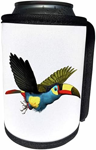 3Droza Boehm grafička ptica - ploča Bill Mountain Toucan Bird - Can Cool Walt Falt