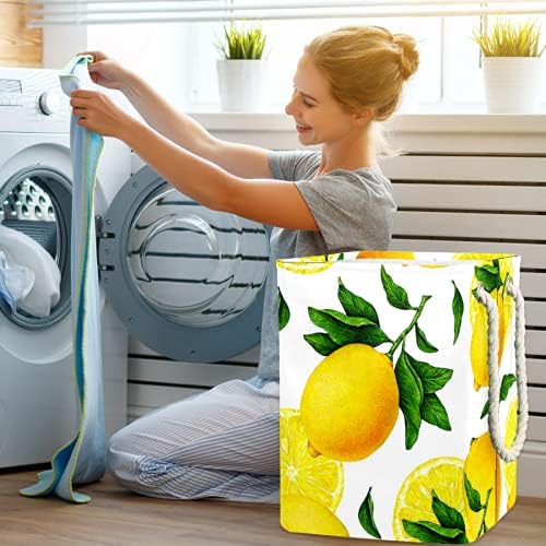 DEYYA vodootporne korpe za veš visoke čvrste sklopive korpe za štampanje limunovog voća za odrasle decu Tinejdžeri dečaci devojke u spavaćim sobama kupatilo