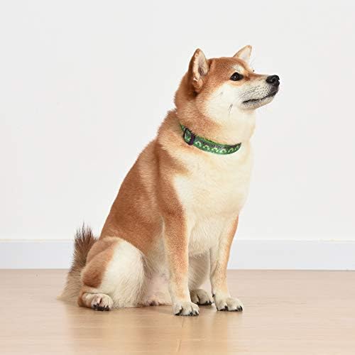 Marvel Comics Hulk Dog Collar, mala zelena & amp; ljubičasta | zvanično licencirana Marvel The Incredible Hulk Dog Collar | mali ovratnik za male pse sa D-prstenom, slatka odjeća za pse & dodatna oprema